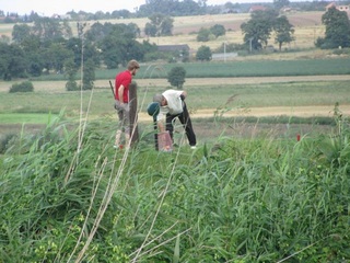 Pole golfowe Bytkowo 